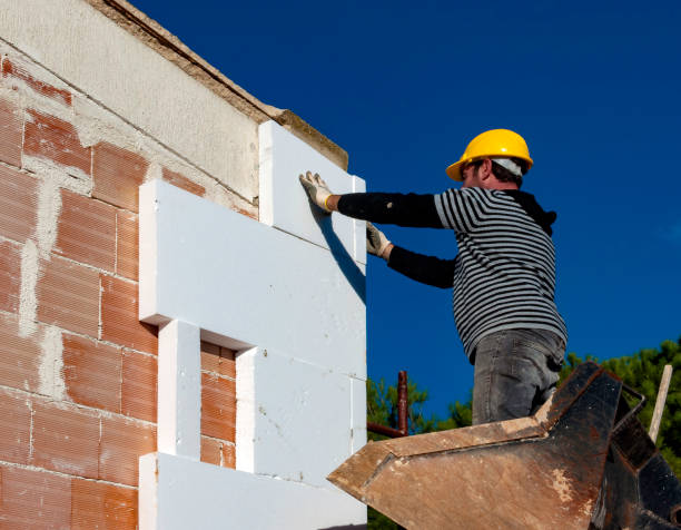 Best Insulation Installation Services in Annandale, VA