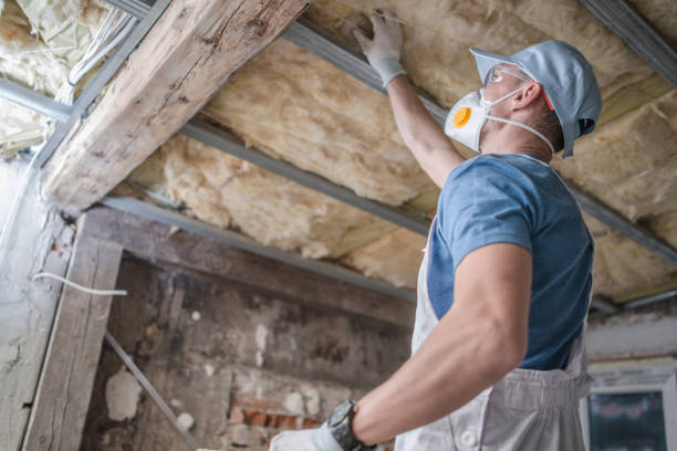 Best Energy Efficiency Solutions in Annandale, VA