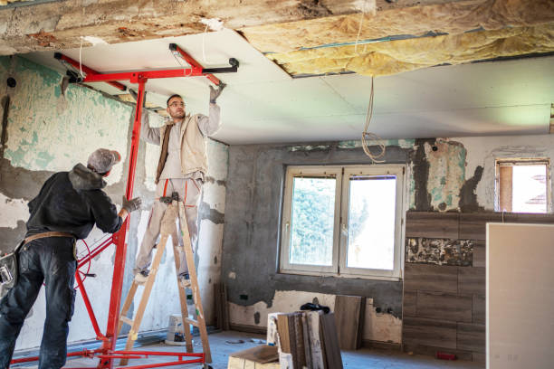 Best Insulation Installation Services in Annandale, VA